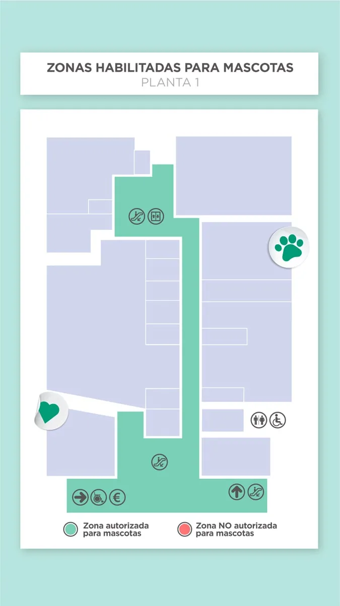 Pet friendly planta 1