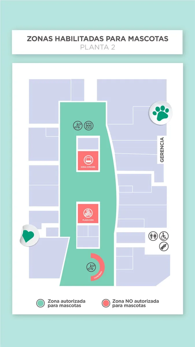 Pet friendly planta 2