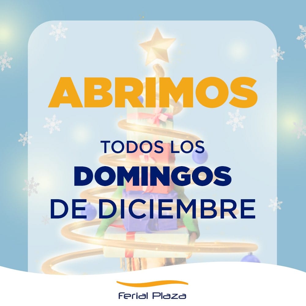 Domingos diciembre 2024