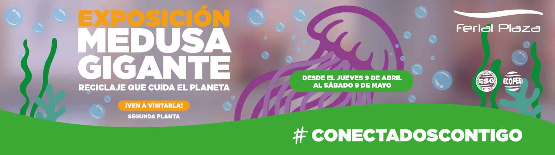 Exposición medusa gigante