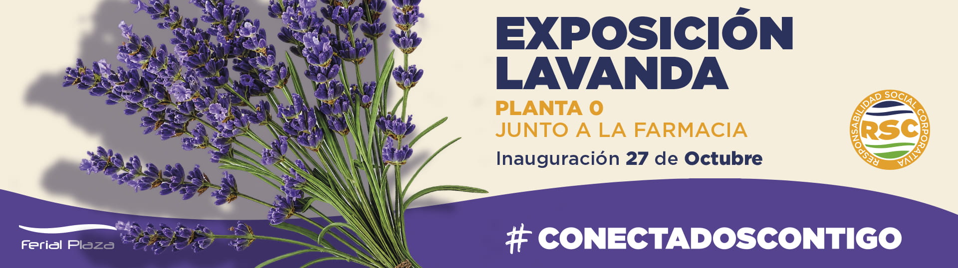 La lavanda vuelve a llenar de arte Ferial Plaza La lavanda vuelve a llenar de arte Ferial Plaza