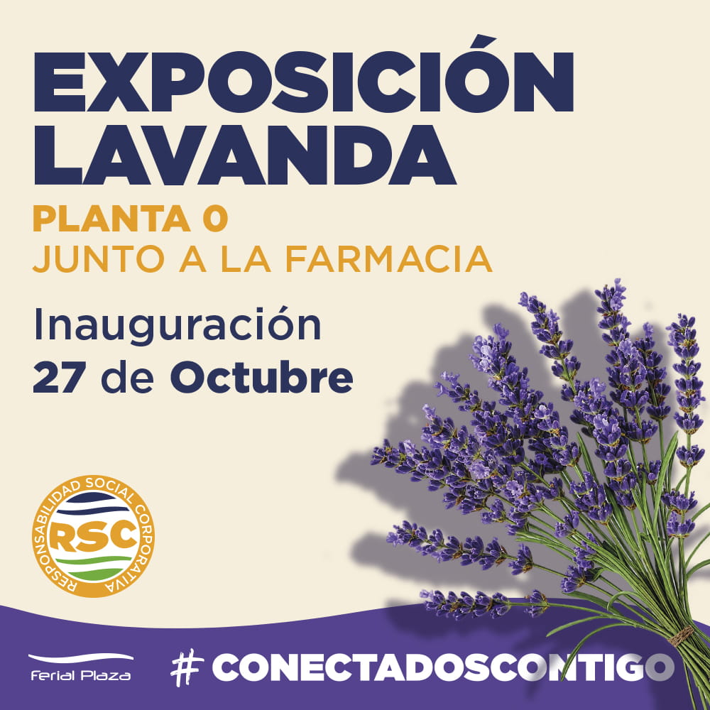 La lavanda vuelve a llenar de arte Ferial Plaza