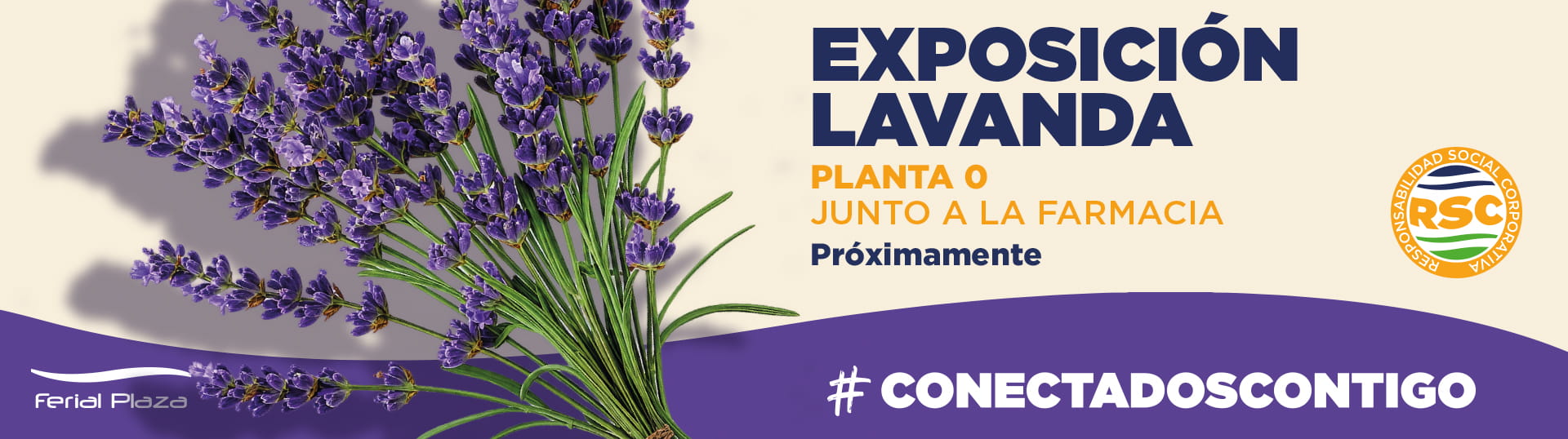 Lavanda-ferial-plaza-2026-banner