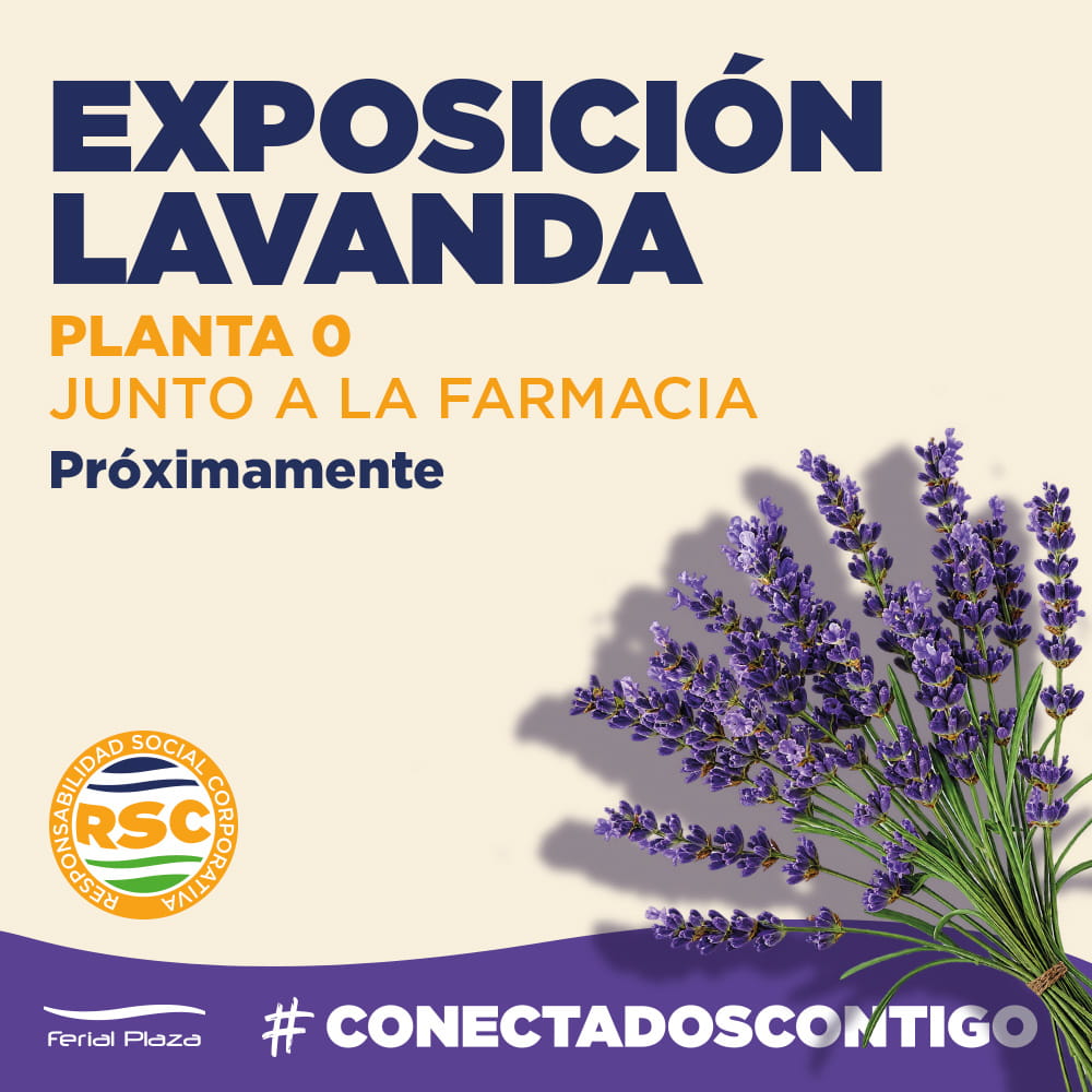 Lavanda-ferial-plaza-2026